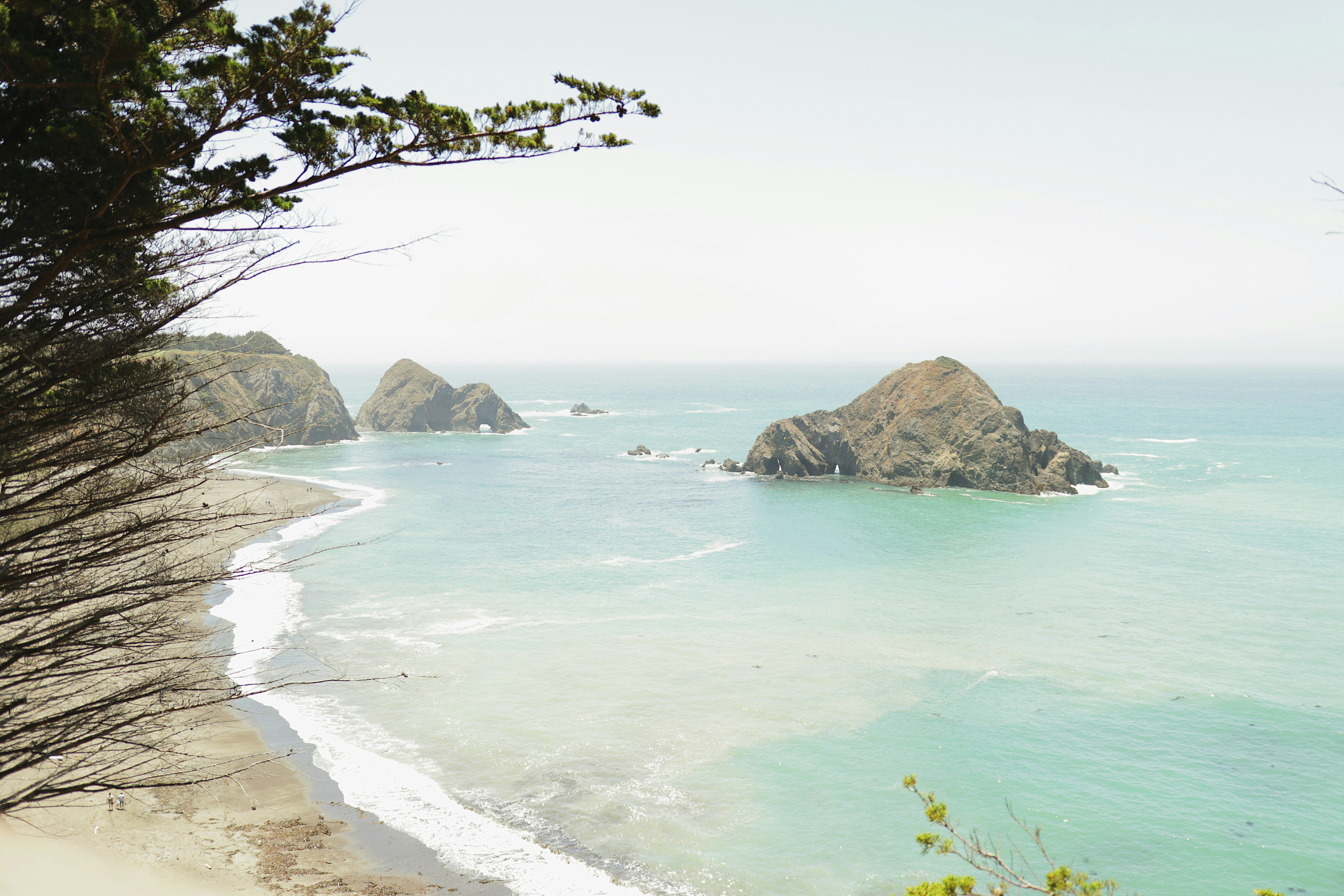 Elk, California Travel Guide: Things to Do and Where to Stay on the Mendocino Coast