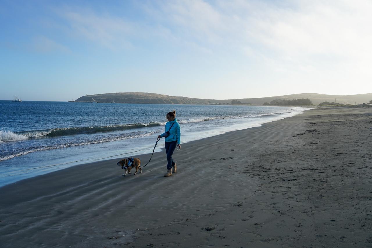 Bodega Bay, California: A Classic Northern California Coast Getaway