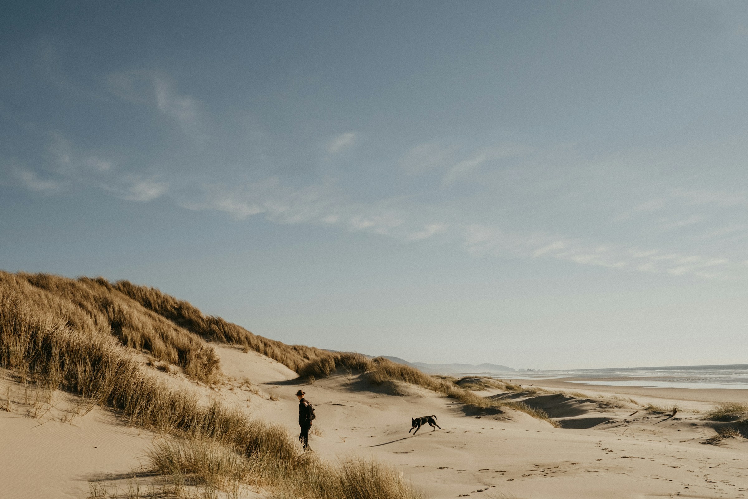 Dog-Friendly Oregon Coast Beaches (and Where to Stay)