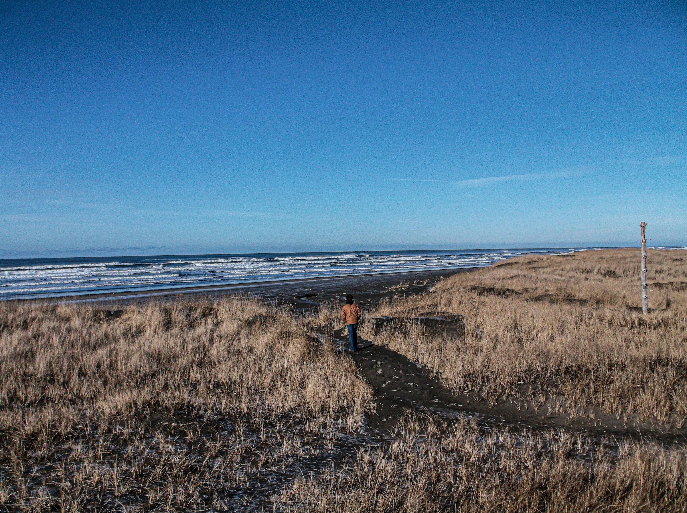 Ocean Park, Washington: Things to Do & Where to Stay
