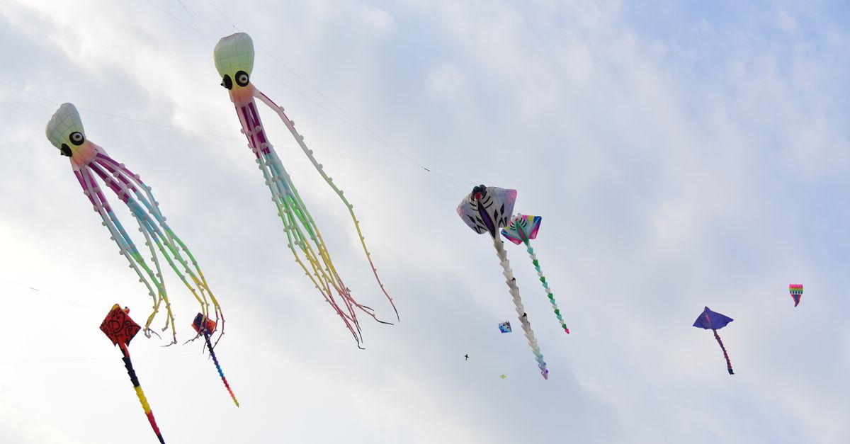 Up Your Wind Kite Festival