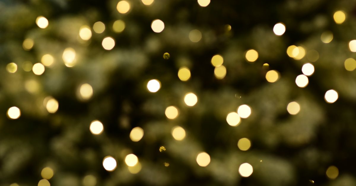 Holiday Social & Auction