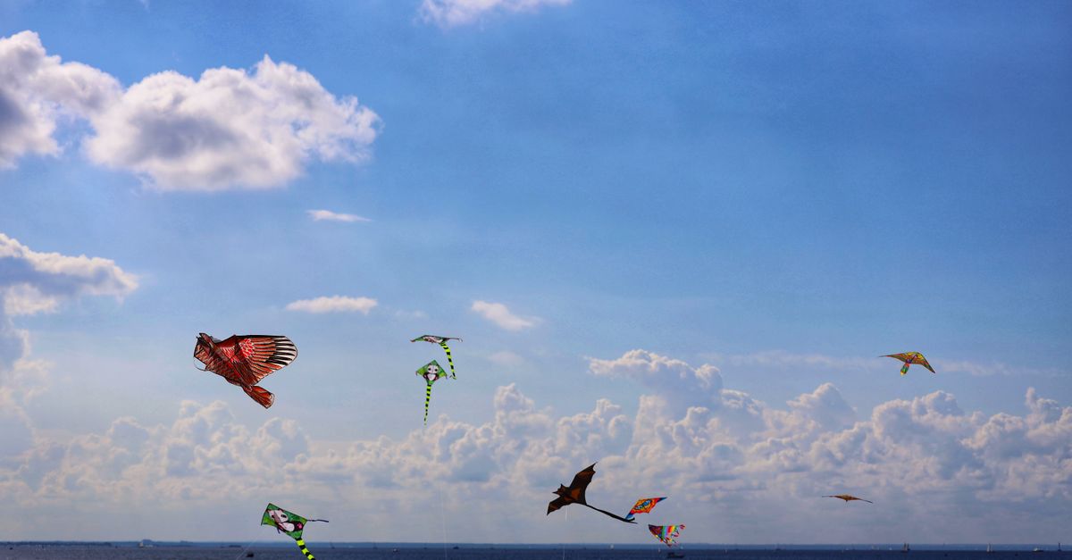 Annual Fall Kite Festival & Various Happenings