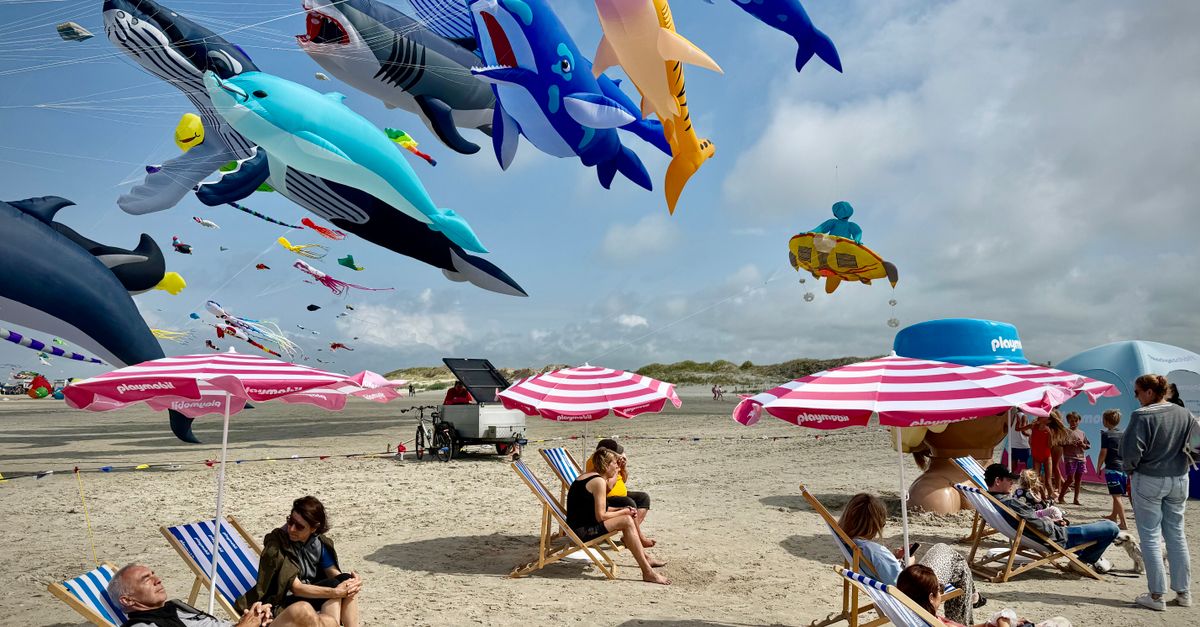 Annual Fall Kite Festival & Various Happenings