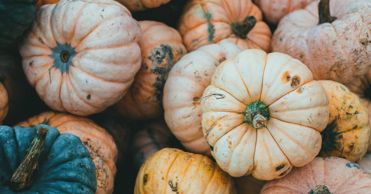 Annual Autumn Rocktober Fest