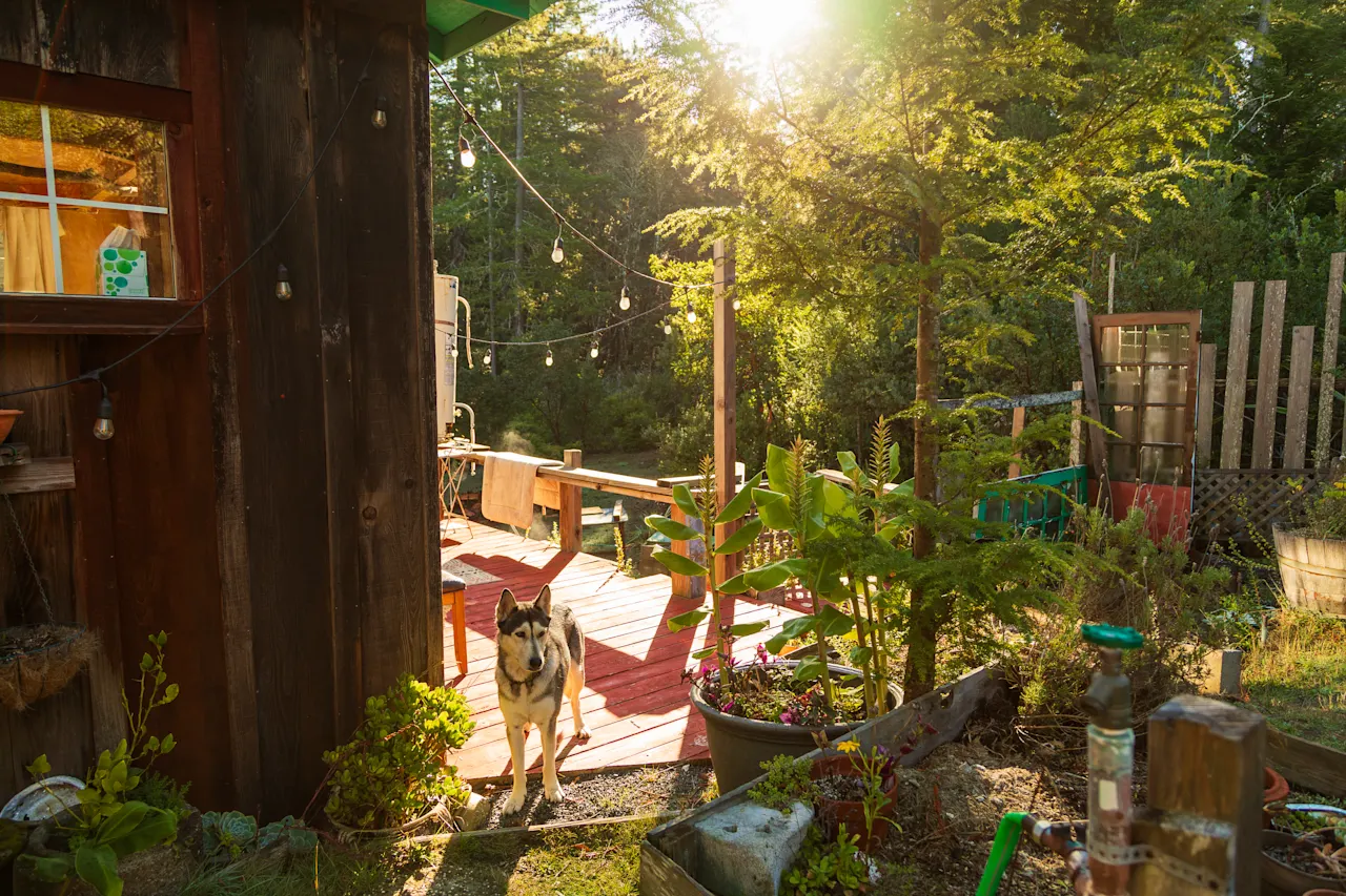Coastal Ridge Cabin — photo 3