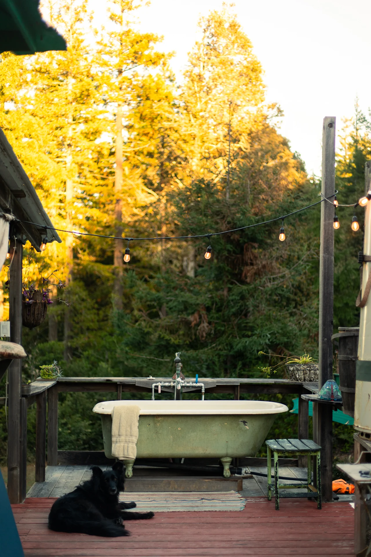 Coastal Ridge Cabin — photo 5