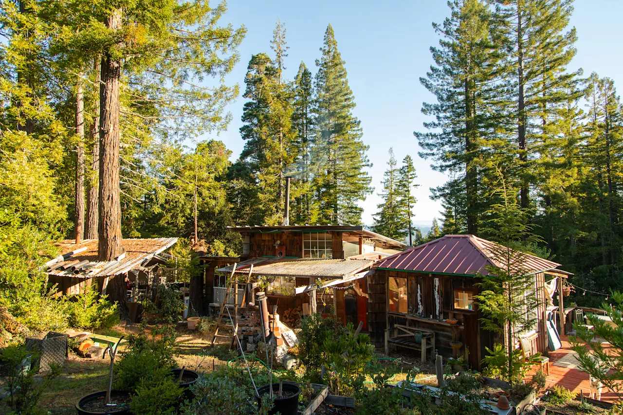 Coastal Ridge Cabin