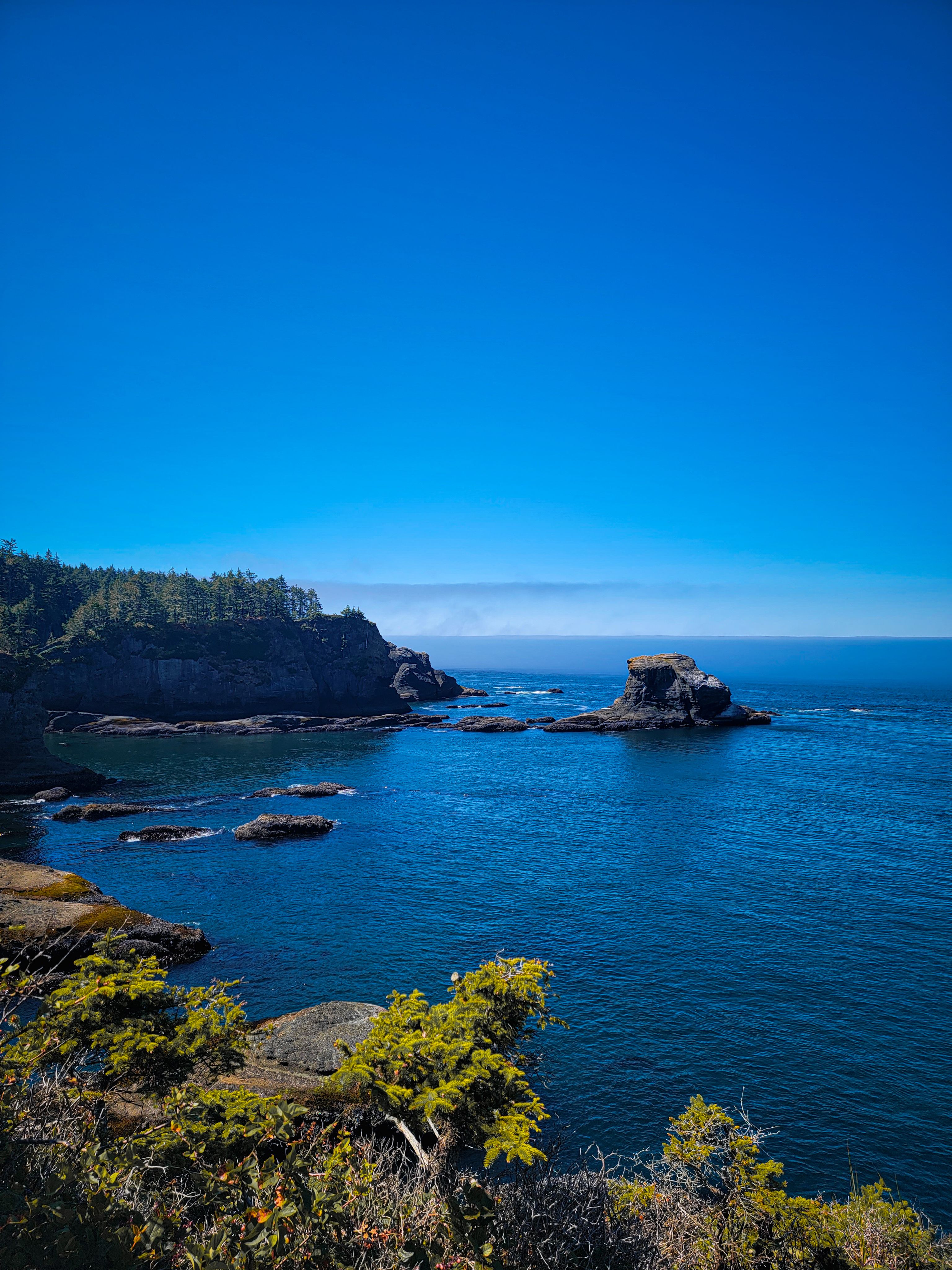 Washington Coast