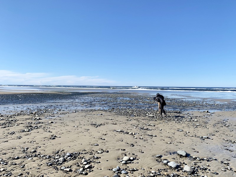 Oregon Coast Agate Hunting
