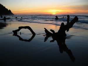 Winter Discoveries on the Oregon Coast